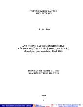 Ảnh hưởng các độ mặn khác nhau lên sinh trưởng và tỉ lệ sống của cá kèo (pseudapocryptes lanceolatus , bloch 1801)