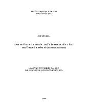 Ảnh hưởng của thuốc trừ sâu decis lên tăng trưởng của tôm sú (penaeus monodon)