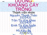 Báo cáo Dinh dưỡng khoáng cây trồng