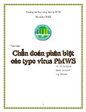 Chẩn đoán phân biệt các type virus PMWS