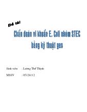 Chẩn đoán vi khuẩn E.Coli nhóm STEC bằng kỹ thuật gen