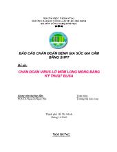 Chẩn đoán virus lở mồm long móng bằng kỹ thuật Elisa