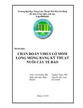 Chẩn đoán virus lở mồm long móng bằng kỹ thuật nuôi cấy tế bào
