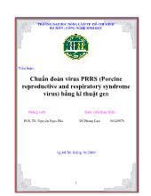 Chuẩn đoán virus PRRS (Porcine reproductive and respiratory syndrome virus) bằng kĩthuật gen