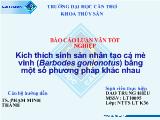 Kích thích sinh sản nhân tạo cá mè vinh (Barbodes gonionotus) bằng một số phương pháp khác nhau