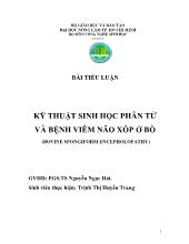 Kỹ thuật sinh học phân tử và bệnh viêm não xốp ở bò (bovine spongiform encepholopathy)