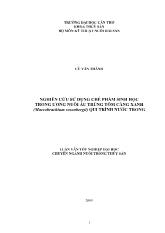 Nghiên cứu sử dụng chế phẩm sinh học trong ương nuôi ấu trùng tôm càng xanh (macrobrachium rosenbergii) qui trình nước trong