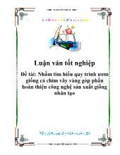 Nhằm tìm hiểu quy trình ươm giống cá chim vây vàng góp phần hoàn thiện công nghệ sản xuất giống nhân tạo