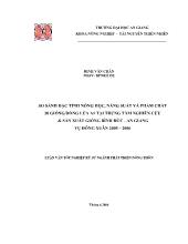 So sánh đặc tính nông học, năng suất và phẩm chất 20 giống/dòng lúa A1 tại trung tâm nghiên cứu & sản xuất giống Bình Đức - An Giang vụ đông xuân 2005 – 2006