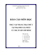 Thực tập trang trại thú y tại trại heo Gia Phát Củ Chi, Tp. Hồ Chí Minh