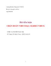 Tiểu luận Chẩn đoán virus dại ( rabies virus)