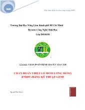 Tiểu luận Chẩn đoán virus lở mồm long móng (FMDV) bằng kỹ thuật gene