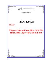 Tiểu luận Nâng cao hiệu quả hoạt động đại lý Bảo Hiểm Nhân Thọ ở Việt Nam hiện nay