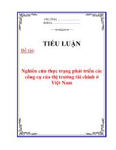 Tiểu luận Nghiên cứu thực trạng phát triển các công cụ của thị trường tài chính ở Việt Nam