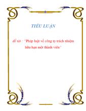 Tiểu luận Pháp luật về công ty trách nhiệm hữu hạn một thành viên