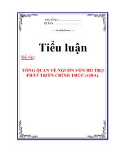 Tiểu luận Tổng quan về nguồn vốn hỗ trợ phát triển chính thức (ODA)