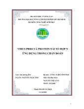 Virus PRRS và Protein tái tổ hợp N ứng dụng trong chẩn đoán