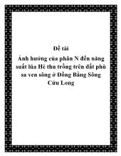 Ảnh hưởng của phân N đến năng suất lúa Hè thu trồng trên đất phù sa ven sông ở Đồng Bằng Sông Cửu Long