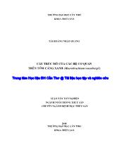 Cấu trúc mô của các hệ cơ quan trên tôm càng xanh (macrobrachium rosenbergii)
