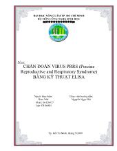 Chẩn đoán Virus PRSS (porcine reproductive and respiratory syndrome) bằng kỹ thuật Elisa
