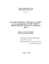 Đặc điểm sinh học, sinh thái của nhện Lycosa pseudoannulata và thử nghiệm phòng trừ rầy nâu hại lúa Nilaparvata lugens