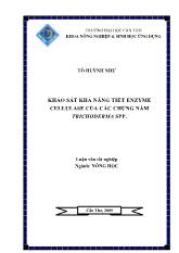 Khảo sát khả năng tiết enzyme cellulase của các chủng nấm Trichoderma SPP