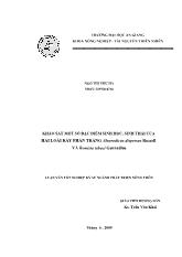 Khảo sát một số đặc điểm sinh học, sinh thái của hai loài rầy phấn trắng Aleurodicus dispersusrussell và Bemisia tabacigennadius