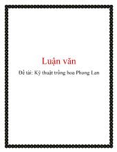 Kỹ thuật trồng hoa Phong Lan