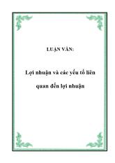Luận văn Lợi nhuận và các yếu tố liên quan đến lợi nhuận
