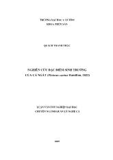 Nghiên cứu đặc điểm sinh trưởng của cá ngát (plotosus caniushamilton, 1822)