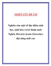 Nghiên cứu một số đặc điểm sinh học, sinh hóa và kỹthuật nuôi Nghêu Meretrix lyrata (Sowerby) đạt năng suất cao