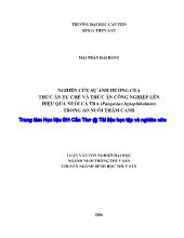 Nghiên cứu sự ảnh hưởng của thức ăn tự chế và thức ăn công nghiệp lên hiệu quả nuôi cá tra (pangasius hypophthalmus) trong ao nuôi thâm canh