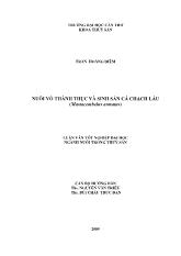 Nuôi vỗ thành thục và sinh sản cá chạch lấu (mastacembelus armatus)