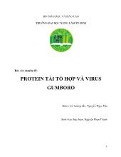 Protein tái tổ hợp và virus gumboro