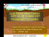 Quá trình hình thành đất và hệ vi sinh vật trong đất tự nhiên
