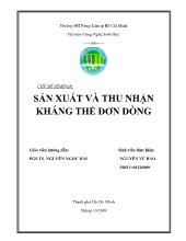 Sản xuất và thu nhận kháng thể đơn dòng