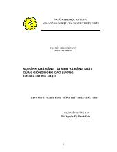 So sánh khả năng tái sinh và năng suất của 9 giống/dòng cao lương trồng trong chậu