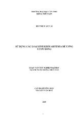Sử dụng các loại sinh khối Artemia để ương lươn đồng