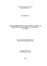 Thực nghiệm ương cá tra trong ao đất tại trung tâm giống thủy sản caseamex – Cần Thơ