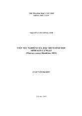 Tiếp tục nghiên cứu đặc điểm sinh học sinh sản cá ngát (plotosus canius hamilton, 1822)