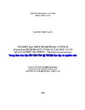 Tìm hiểu đặc điểm mô bệnh học ở tôm sú (p.monodon) bệnh hoại tử cơ quan tạo máu và cơ quan lập biểu mô (IHHNV – Infectious Hypodermal and Haematopoietic Necrosis Vius