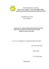 Tổng kết và theo dõi mô hình trồng bắp kết hợp chăn nuôi bò tại huyện Châu Thành, tỉnh An Giang năm 2004