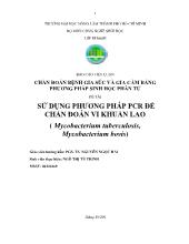 Ửdụng phương pháp PCR để chẩn đoán vi khuẩn lao ( mycobacterium tuberculosis, mycobacterium bovis)