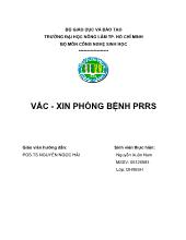 Vắc - Xin phòng bệnh PRRS