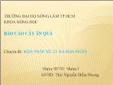 Báo cáo Cây ăn quả biện pháp xử lý ra hoa nhãn
