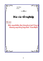 Luận văn Đẩy mạnh tiêu thụ hàng hoá tại Công ty thương mại tổng hợp tỉnh Nam Định