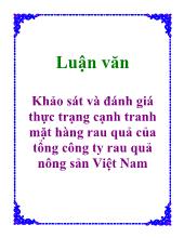 Luận văn Khảo sát và đánh giá thực trạng cạnh tranh mặt hàng rau quả của tổng công ty rau quả nông sản Việt Nam