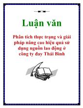 Luận văn Phân tích thực trạng và giải pháp nâng cao hiệu quả sử dụng nguồn lao động ở công ty đay Thái Bình
