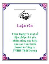Luận văn Thực trạng và một số biện pháp chủ yếu nhằm nâng cao hiệu quả sản xuất kinh doanh ở Công ty TNHH Thái Dương