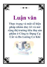 Luận văn Thực trạng và một số biện pháp nhằm duy trì và mở rộng thị trường tiêu thụ sản phẩm ở Công ty Dụng Cụ Cắt và Đo Lường Cơ Khí